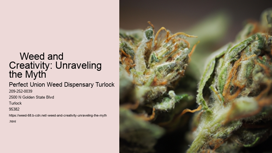     Weed and Creativity: Unraveling the Myth