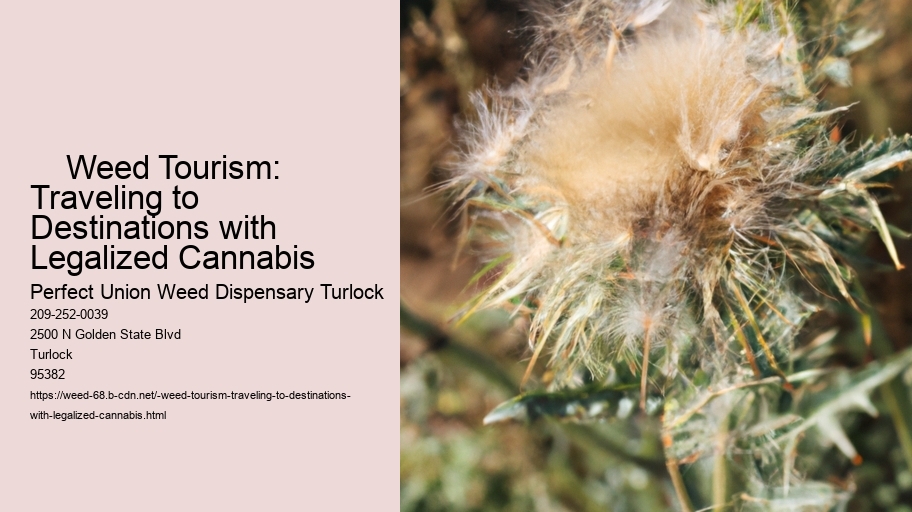     Weed Tourism: Traveling to Destinations with Legalized Cannabis
